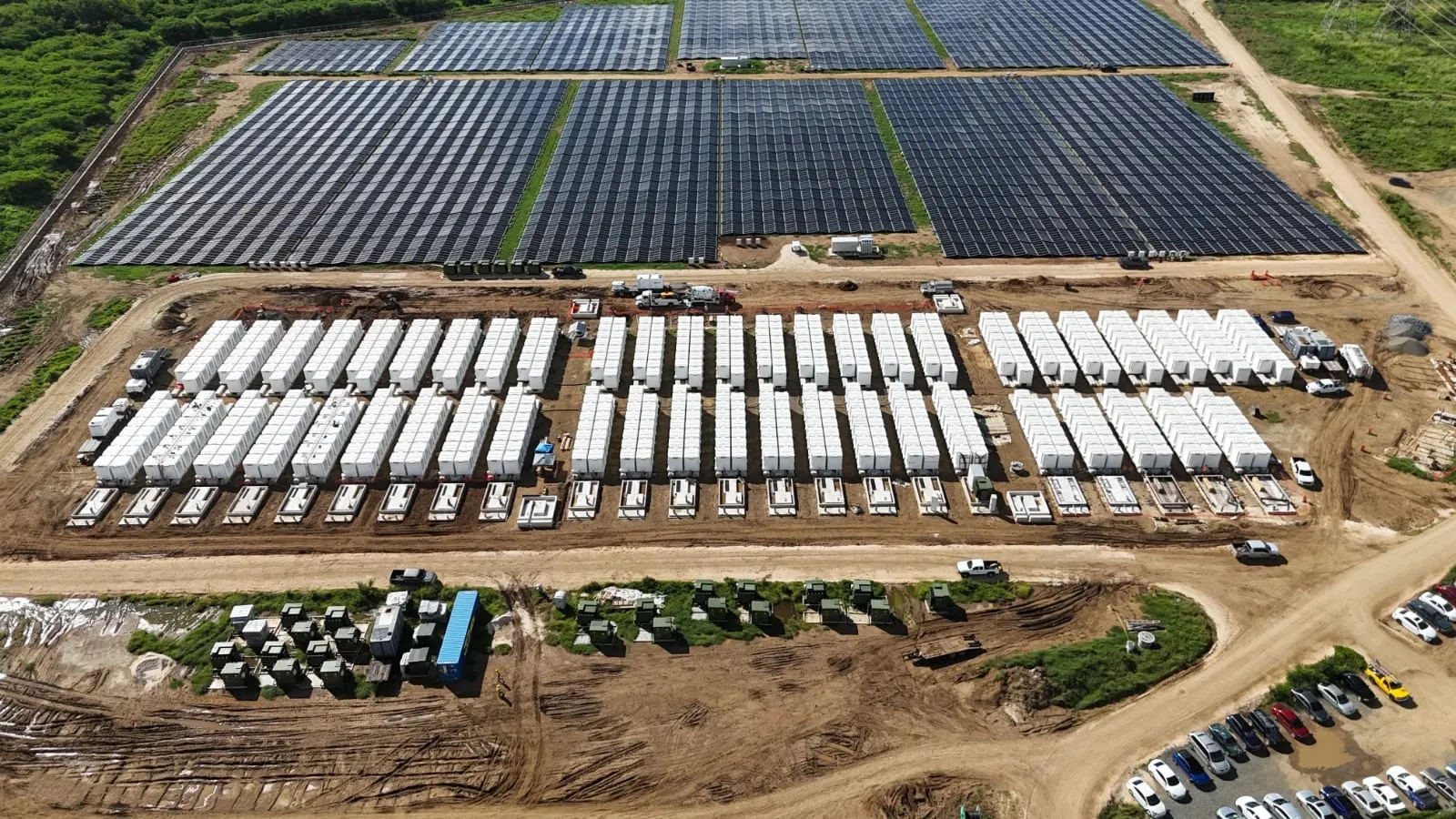 Marahu plant in Puerto Rico · 5/5